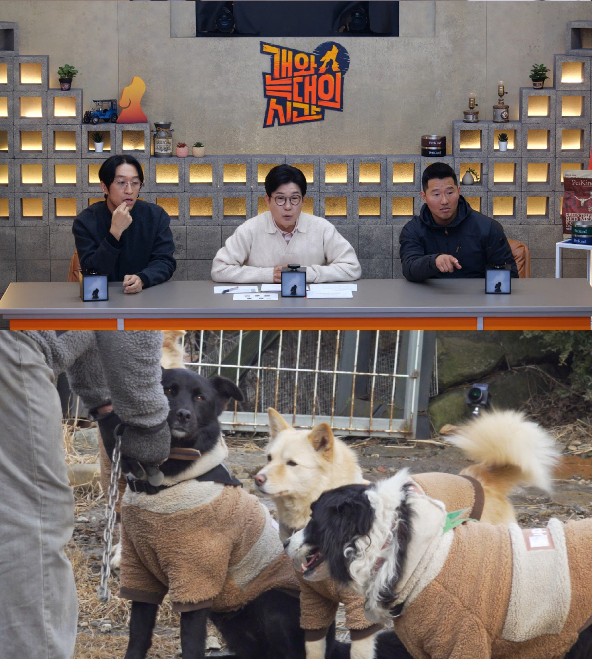 빽가, 들개 무리 공격에 반려견 사망…"아직도 트라우마"