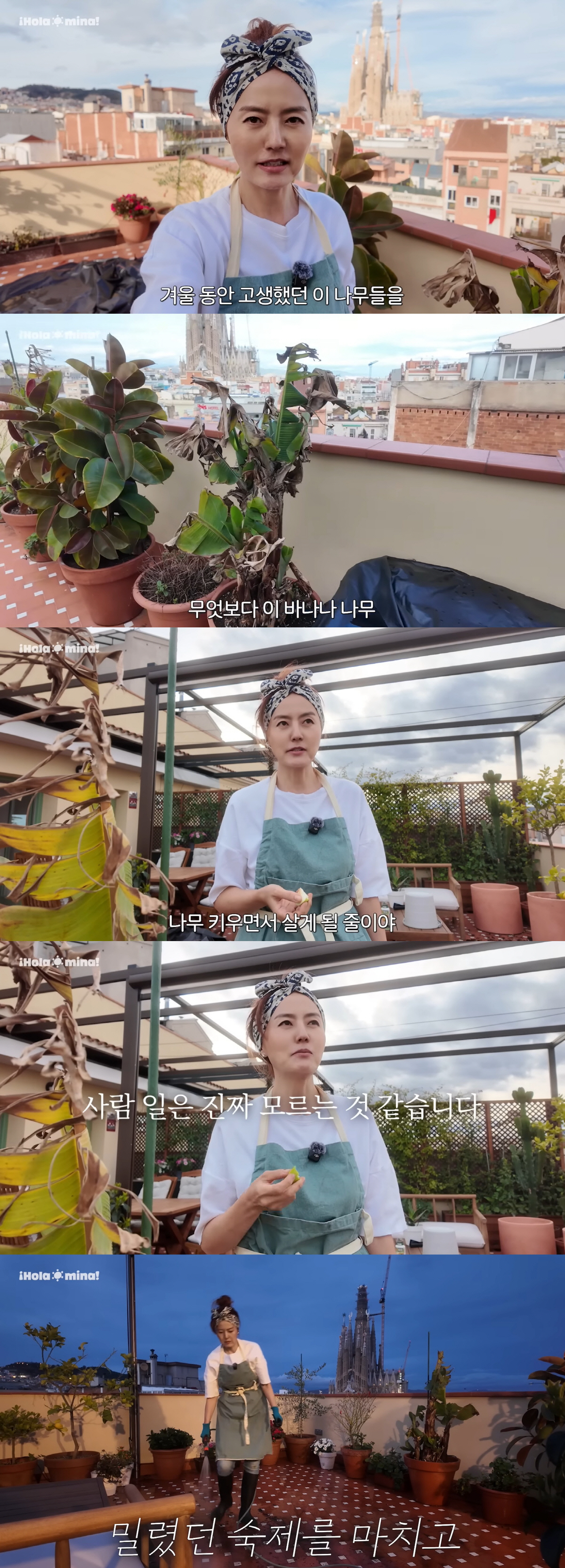 손미나, 이혼·교통사고 겪더니..韓 떠나 스페인 정착 "나무 키우며 살아…