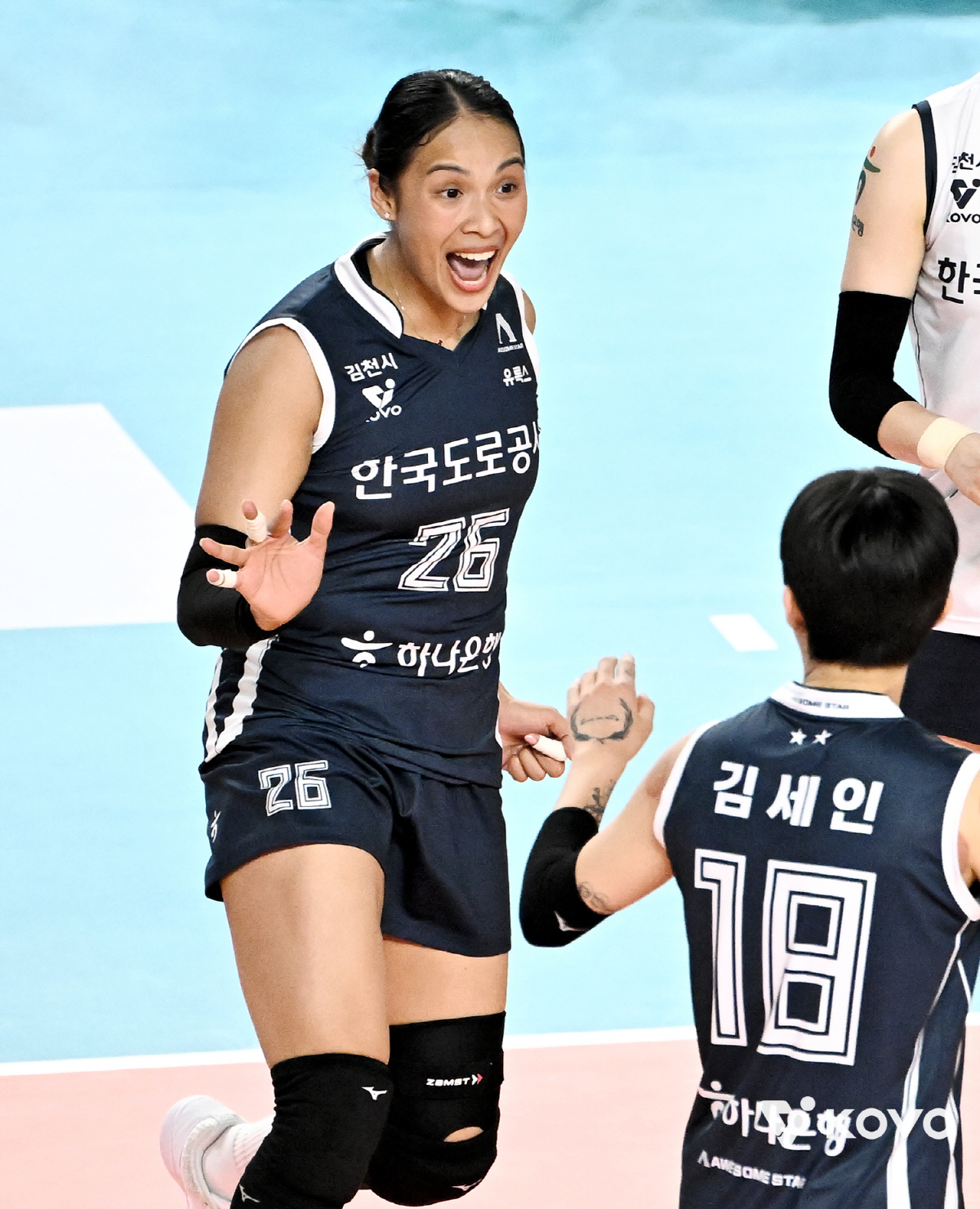 봄배구 코앞인데 발목 인대파열이라니…도로공사 타나차, 챔피언결정전에는 볼…