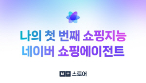 [AI픽] 검색 대신 대화…네이버 쇼핑 AI 떴다