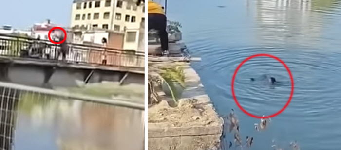 부부싸움 중 아기 강물에 던진 '비정한' 父…물에 뛰어든 엄마 '오열'