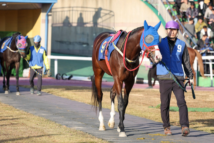 [경마] 3세마 실력 가늠할 무대… 제39회 스포츠서울배(L) 개최
