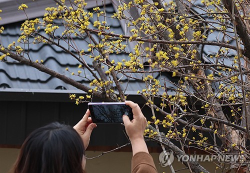 낮 7∼15도 초봄 날씨…전국 곳곳 비 조금