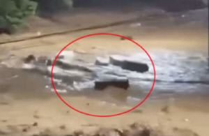 도로 위 수십 개의 관 '둥둥'…