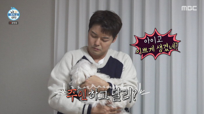 구성환 반려견 꽃분이, '꼬리 살랑' 생전 마지막 모습 '먹먹'...전현무 