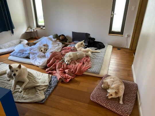 '이상순♥' 이효리 "힘들고 엉망진창? 가장 행복했던 순간"..가슴 뭉클…