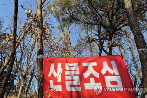 정부 '무관용원칙'에도 올들어 산불 157건…축구장 930개 불탔다