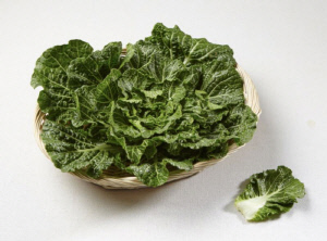 '두쫀쿠' 밀어낸 '봄동', 건강 효과…영양소 손실 줄이려면?