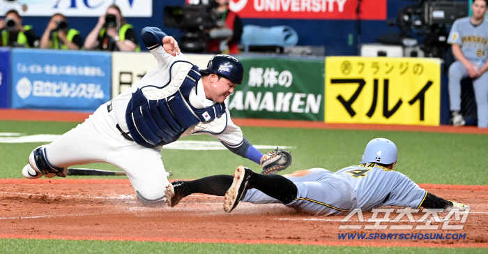 "한국만 특별대우?" 대만 또 부글부글…MLB가 정해줬을 뿐인데, 대체 왜?