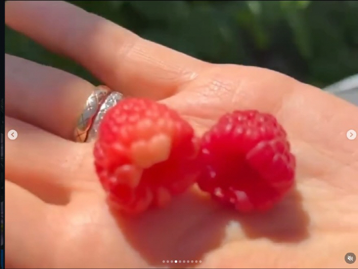 '이휘재♥' 문정원, '자숙 4년' 캐나다 근황 전했다…훌쩍 큰 쌍둥이