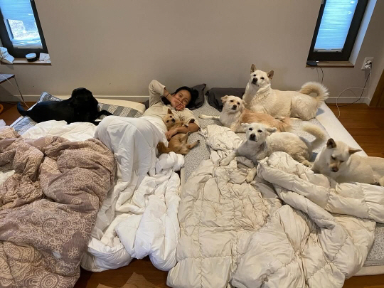 '이상순♥' 이효리, 억지 위생 논란 후...반려견 없이 평창동家서 요가…