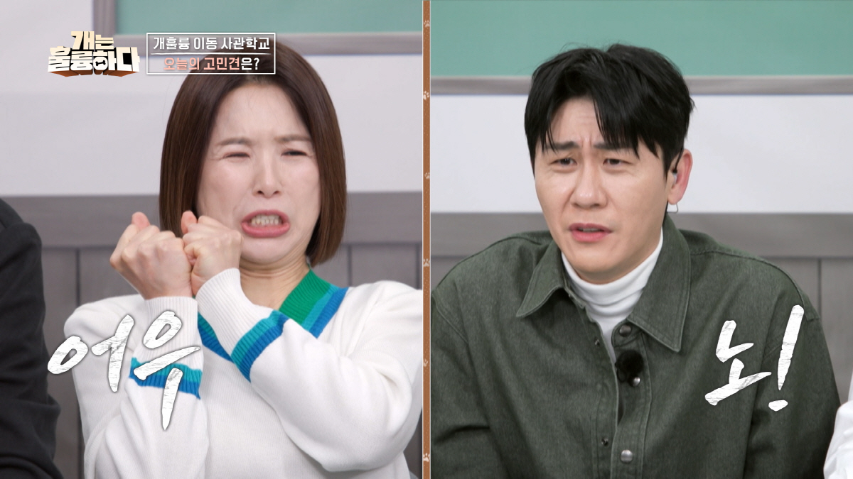 '개훌륭'의 화려한 귀환…KBS 예능을 다시 '훌륭'하게[SC초점]