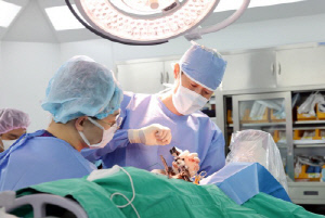 중증 파킨슨병 환자, 뇌심부자극술 후 운동기능 회복·약물량 66% 감소