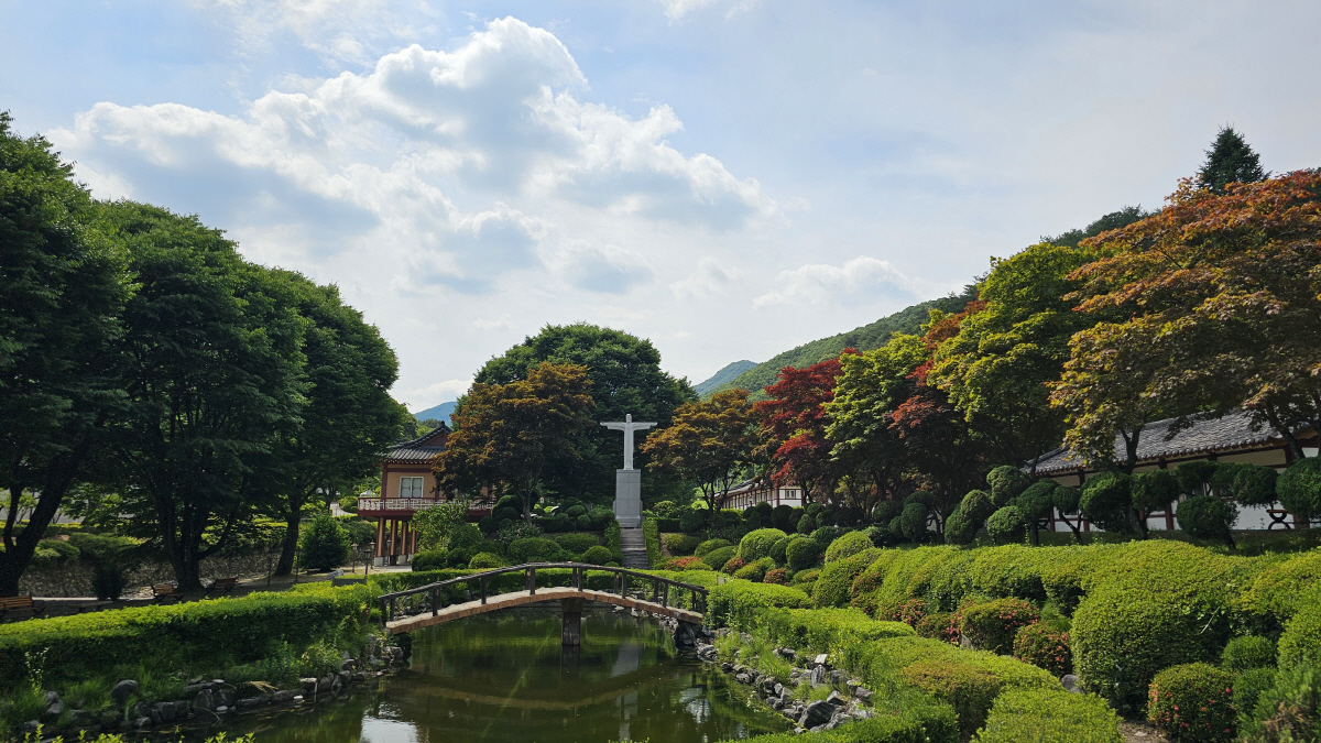'왕사남' 영월 옆 '단양-제천'…걷기만 해도 깨어나는 감성