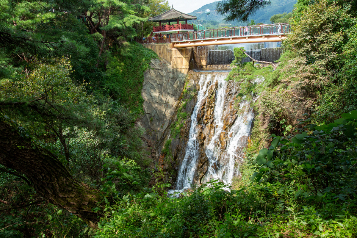 '왕사남' 영월 옆 '단양-제천'…걷기만 해도 깨어나는 감성