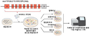 폐암 표적치료제 내성 반응 지도 구축…맞춤형 치료 전략 근거 마련