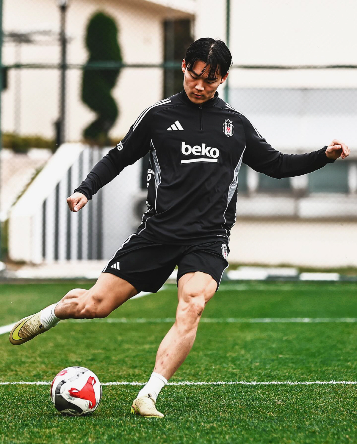 韓 축구 경사, 손흥민 특급 도우미 '정상급 9번' 탄생! 오현규 또 대…