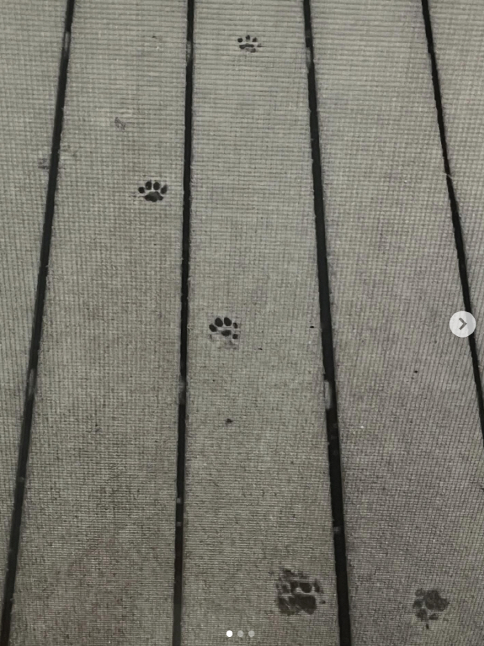 '400억 시세차익' 김희애, 으리으리한 집 공개..공원보다 넓은 마당 …