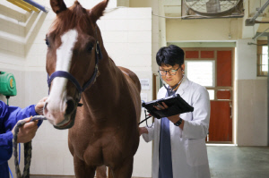 [경마] '말과 사는 남자' 한국마사회 말수의사, 경주마의 안전을 지키는 숨은 주역