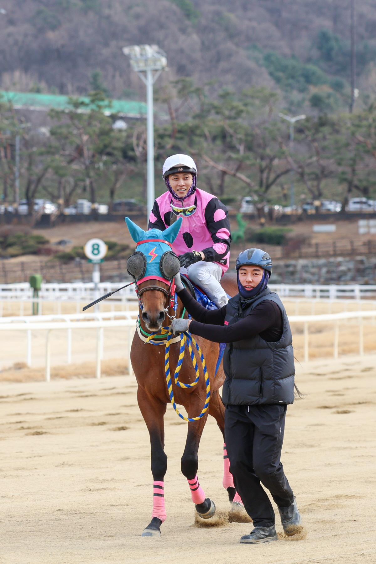 [경마] 로쉬, 제39회 스포츠서울배(L) 12마신 차 압승…데뷔 후 파…
