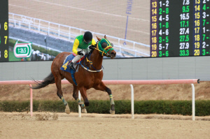 [경마] 클러치위너, 제19회 경남신문배 우승… 3세마 최강 존재감 과시