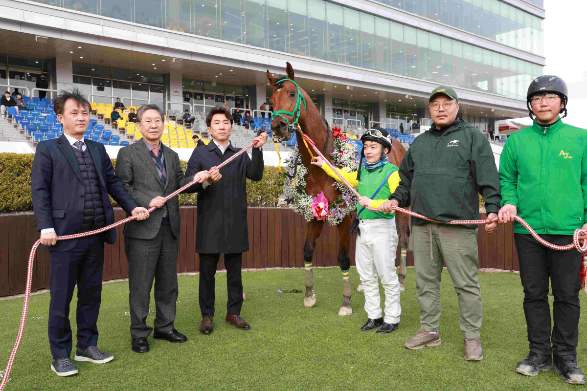[경마] 클러치위너, 제19회 경남신문배 우승… 3세마 최강 존재감 과시