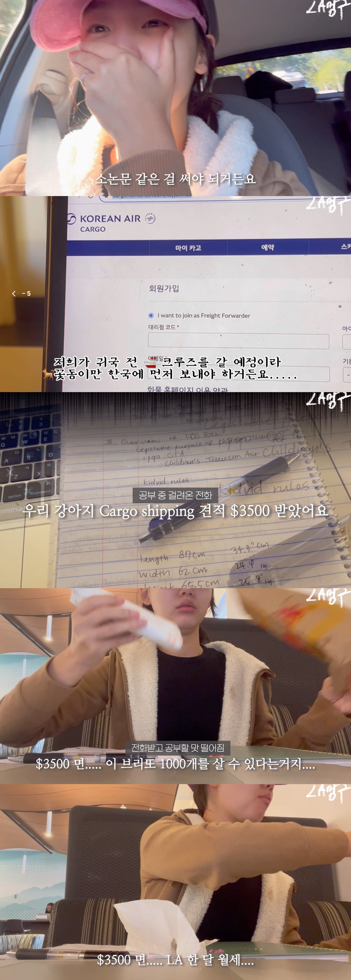 '최연소 아나→美법대생' 김수민, LA 물가에 한숨 "한달 월세만 5백만…