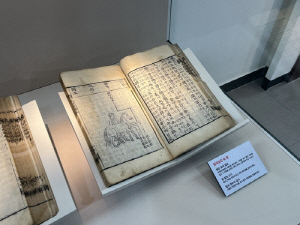 옛 의학서에서 살펴본 馬…허준박물관 '병오, 말이 오다'