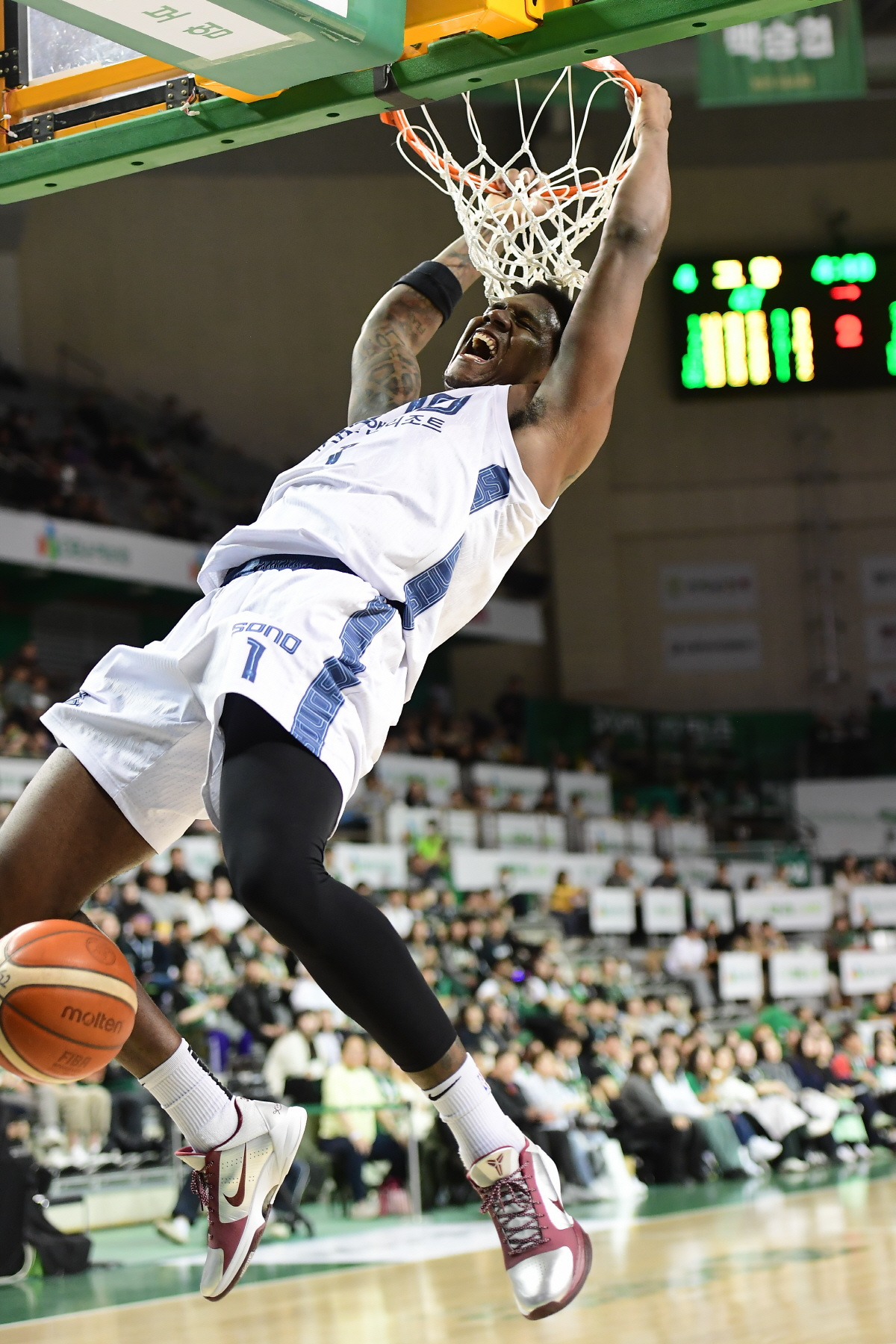 소삼가몹 수장→강력 6강 다크호스. 소노 FEVER! 이정현+나이트+켐바…