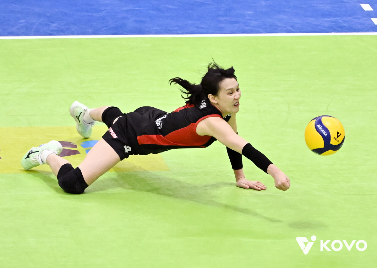 양효진 은퇴식 경기인데…조이가 없어도 페퍼저축은행은 '천적'이었다..5승…