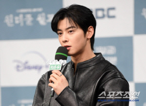 차은우 1인 기획사, 부동산 4500평 매입 