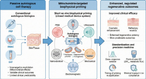 서울예스바이오·서울예스병원, 줄기세포 기능 극대화 '프라이밍 기술' 논문 발표…