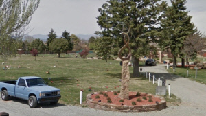 ‘부부 동반 사망’ 톱스타 묘소엔 비석 없이 조개껍질 하나뿐..1326억 상속 전쟁 시작