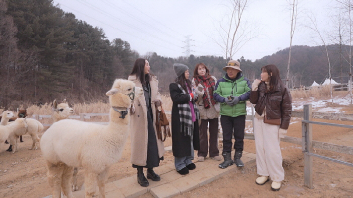 박영선, 이혼 후 아들 美에 두고 왔다...안타까운 사연 고백 ('같이삽…