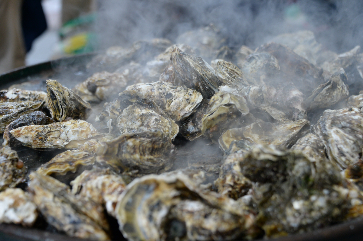 마지막 겨울을 찾아 떠난 '장흥'…'맛과 멋'의 시간