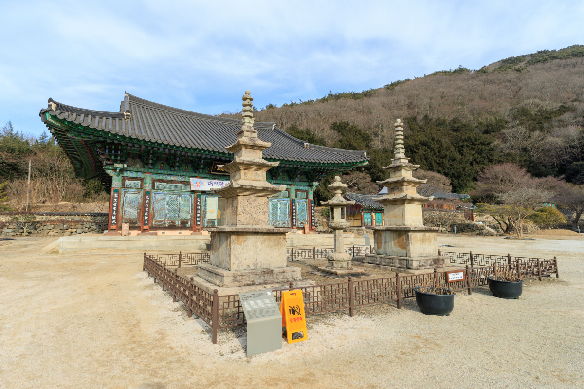 마지막 겨울을 찾아 떠난 '장흥'…'맛과 멋'의 시간