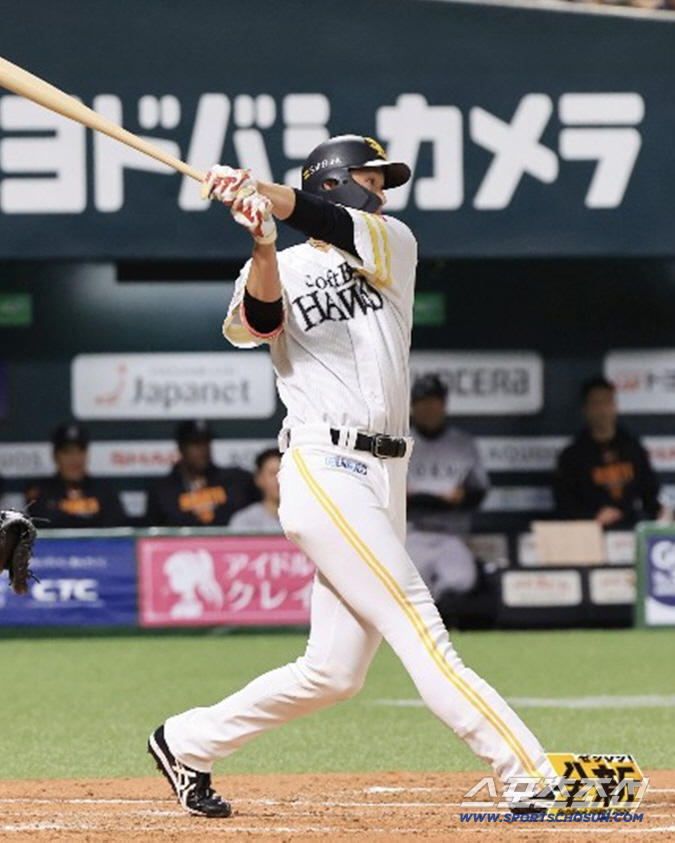 "부끄러운 줄 알아야" 관중 3만9728명 앞에서 2대15 대패, 아베 …