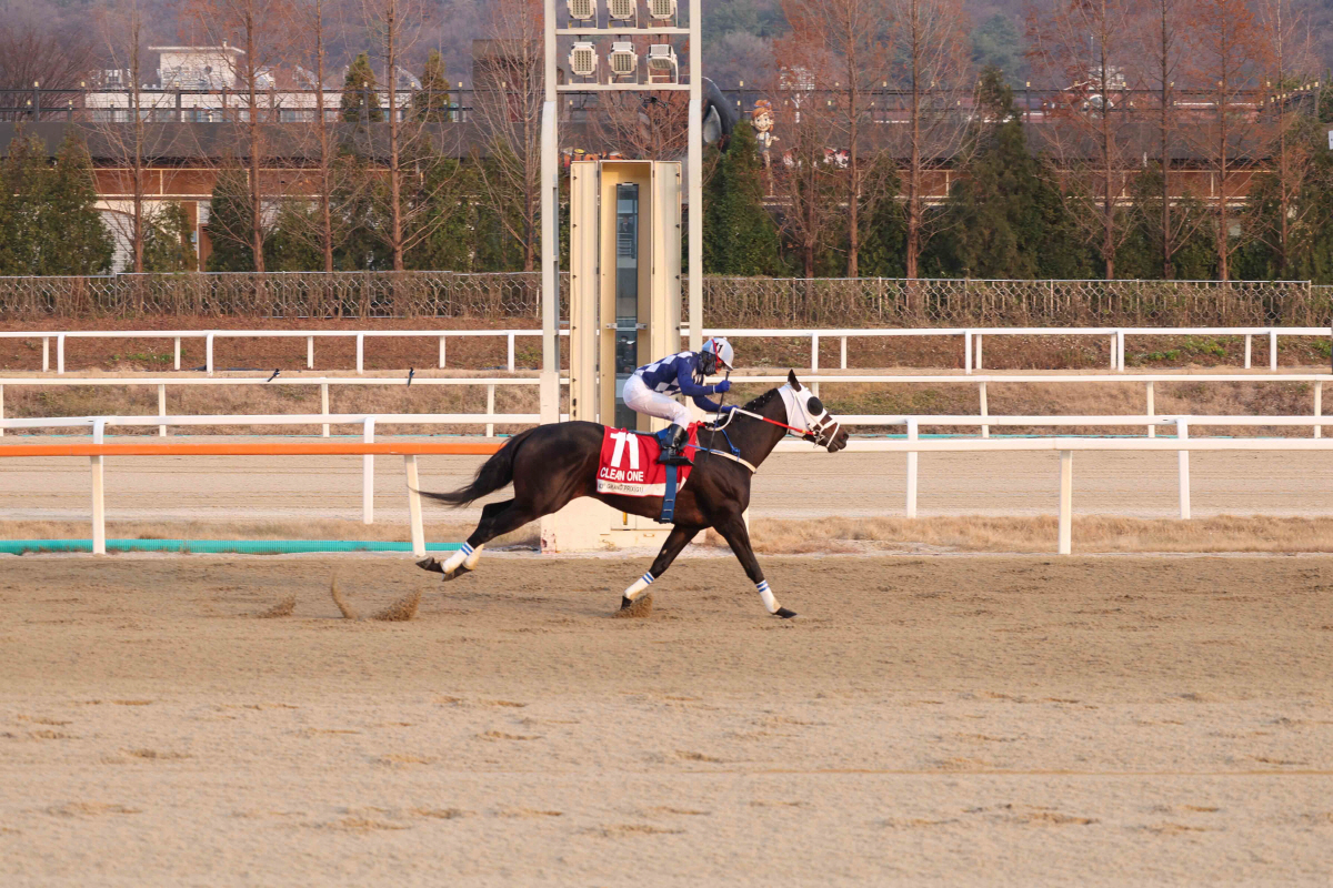 [경마] 헤럴드경제배 15일 개최. 장거리 스타마 총출동… '별들의 전쟁…
