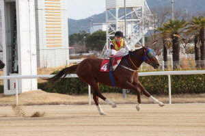 [경마] 빈체로카발로, 제20회 부산일보배(G3) 우승… 2년 연속 트로피
