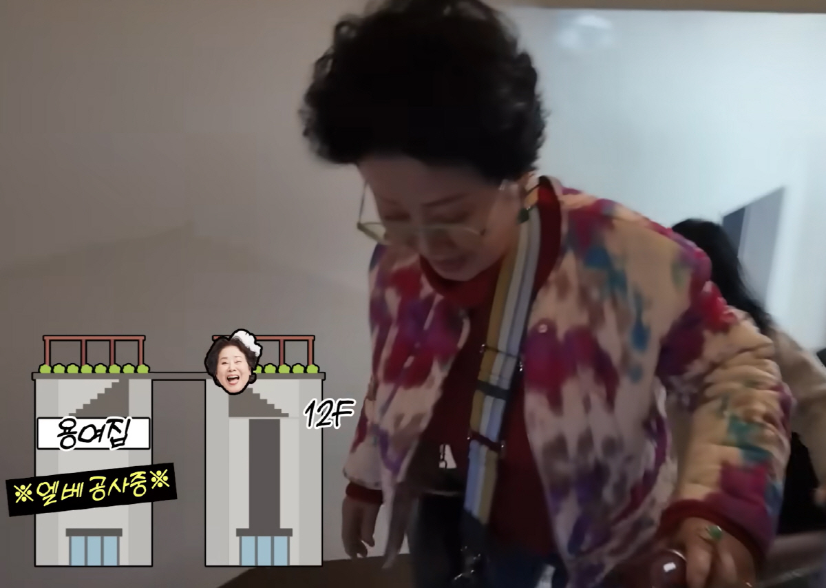 '부처멘탈' 선우용여 "난 댓글은 안봐"…엘베 공사→12층 계단 걸어도 …