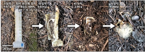 전자 부품까지 통째 분해…다 쓰면 '거름' 되는 친환경 로봇