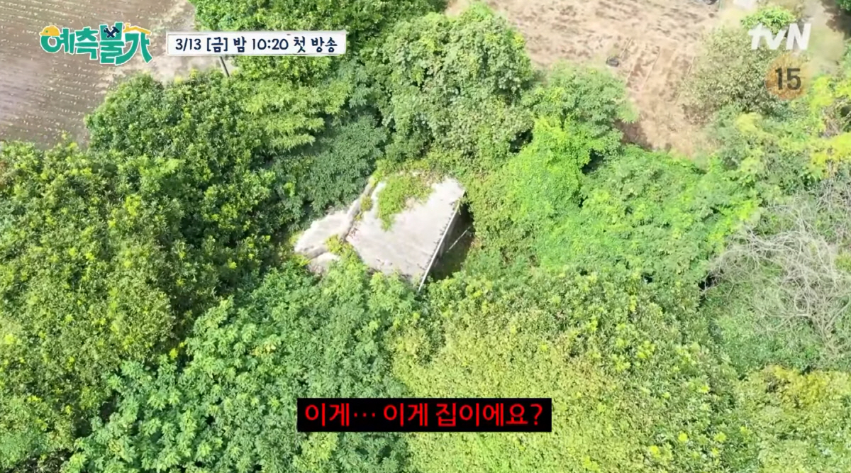 김숙, 제주도에 매입한 '200평 집' 폐가 됐다 "10년간 방치" ('…