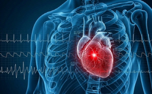 [위클리 건강] '연휴 다음날' 심정지 9% 많다…쉬었는데 왜 더 위험할까?