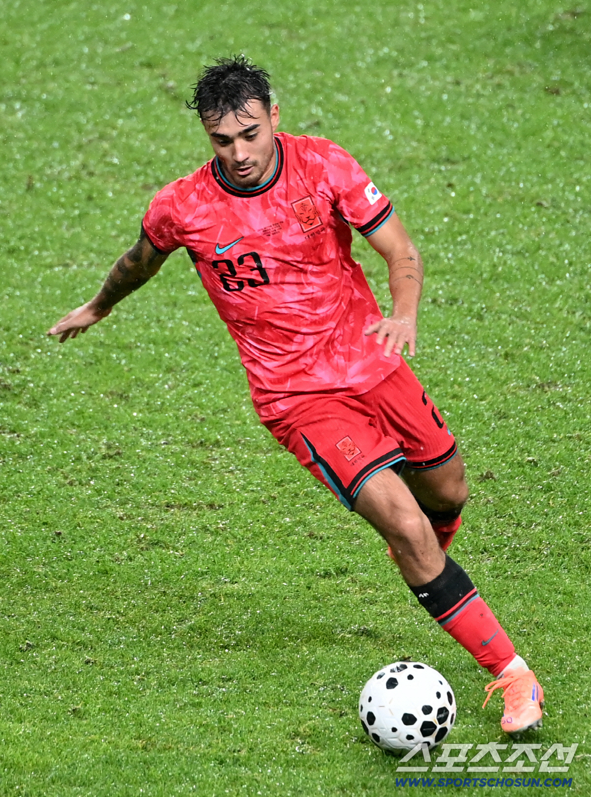 이런 복덩이 없습니다..."항상 난 한국인" 韓 최초 혼혈 카스트로프 미…