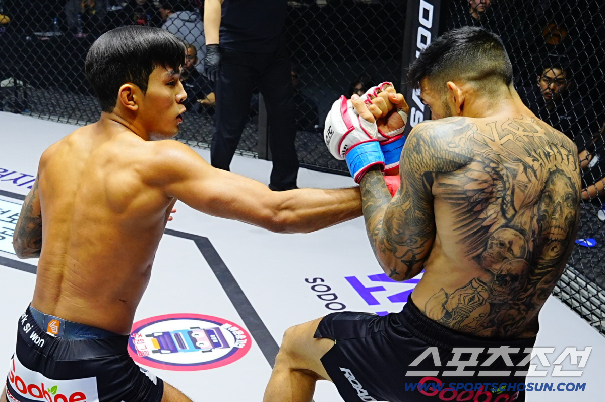 돌아온 라이트급 최강자 브라질 챔피언에게 TKO승 11승 무패[장충 현장…