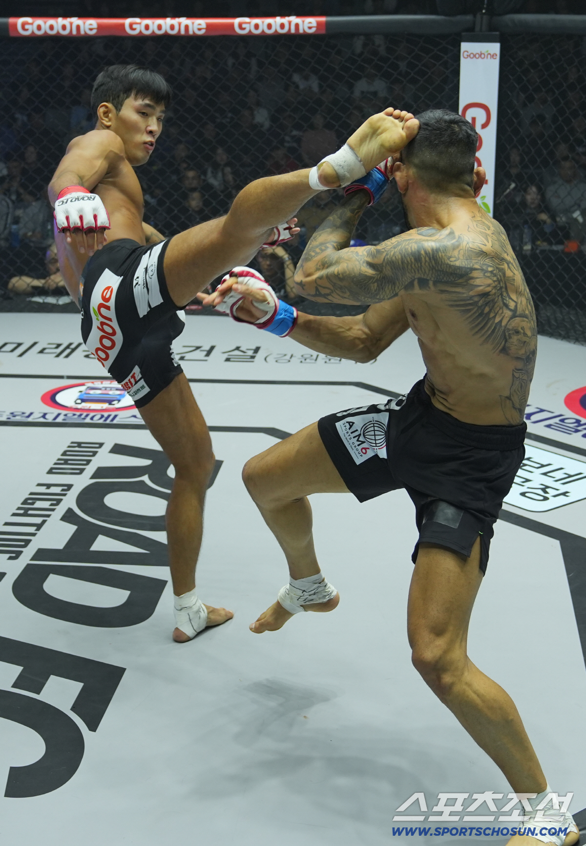 돌아온 라이트급 최강자 브라질 챔피언에게 TKO승 11승 무패[장충 현장…