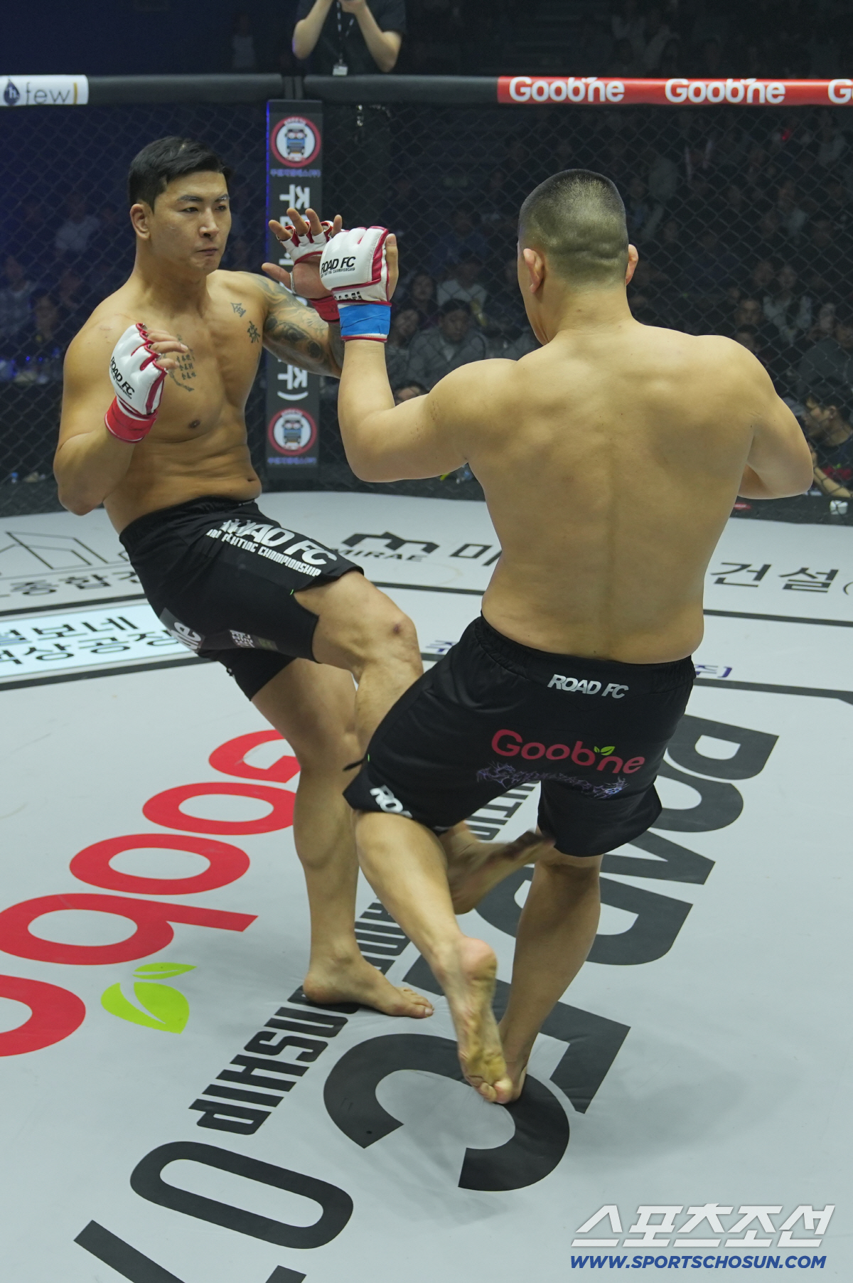 김태인이 김태인했다. '한국킬러' 일본 챔피언에 오른손 한방으로 TKO승…