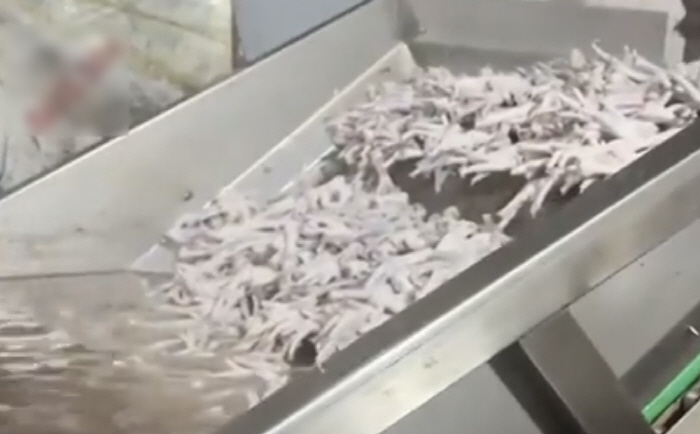 "닭발, 과산화수소로 표백"…공장 바닥엔 오수, 악취 진동