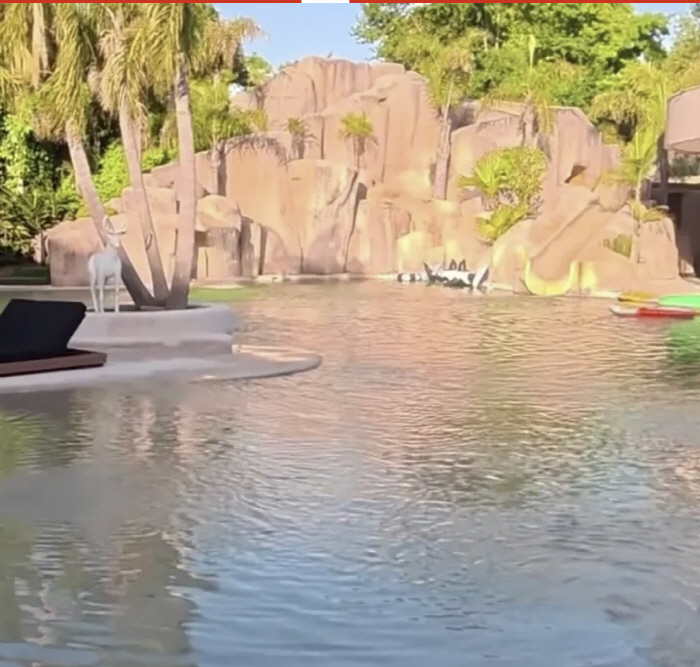 '지성아 우리집 죽이지?' 연봉 700억, 한때 메날두보다 많이 벌었던 …