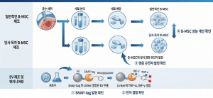 서울예스바이오, 엑소좀 기반 줄기세포 프라이밍 기술 'PCT 국제특허' 출원